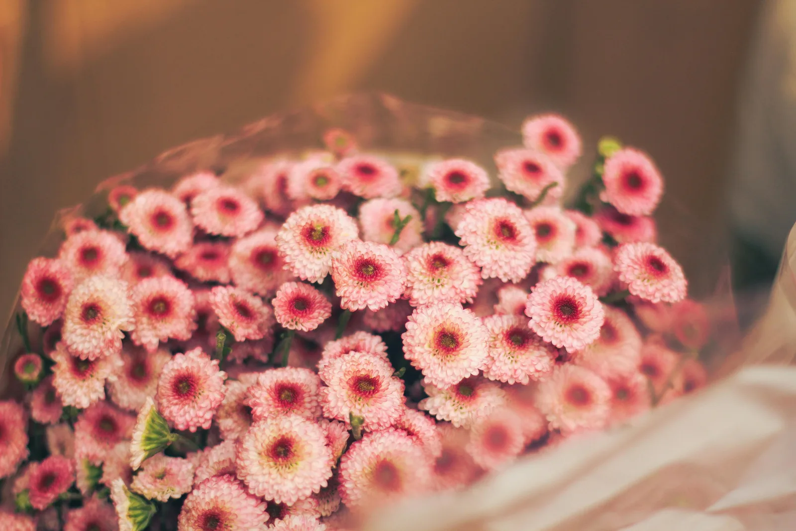 Mother's Corner: A Newly Expectant Mum's Honest Resource List