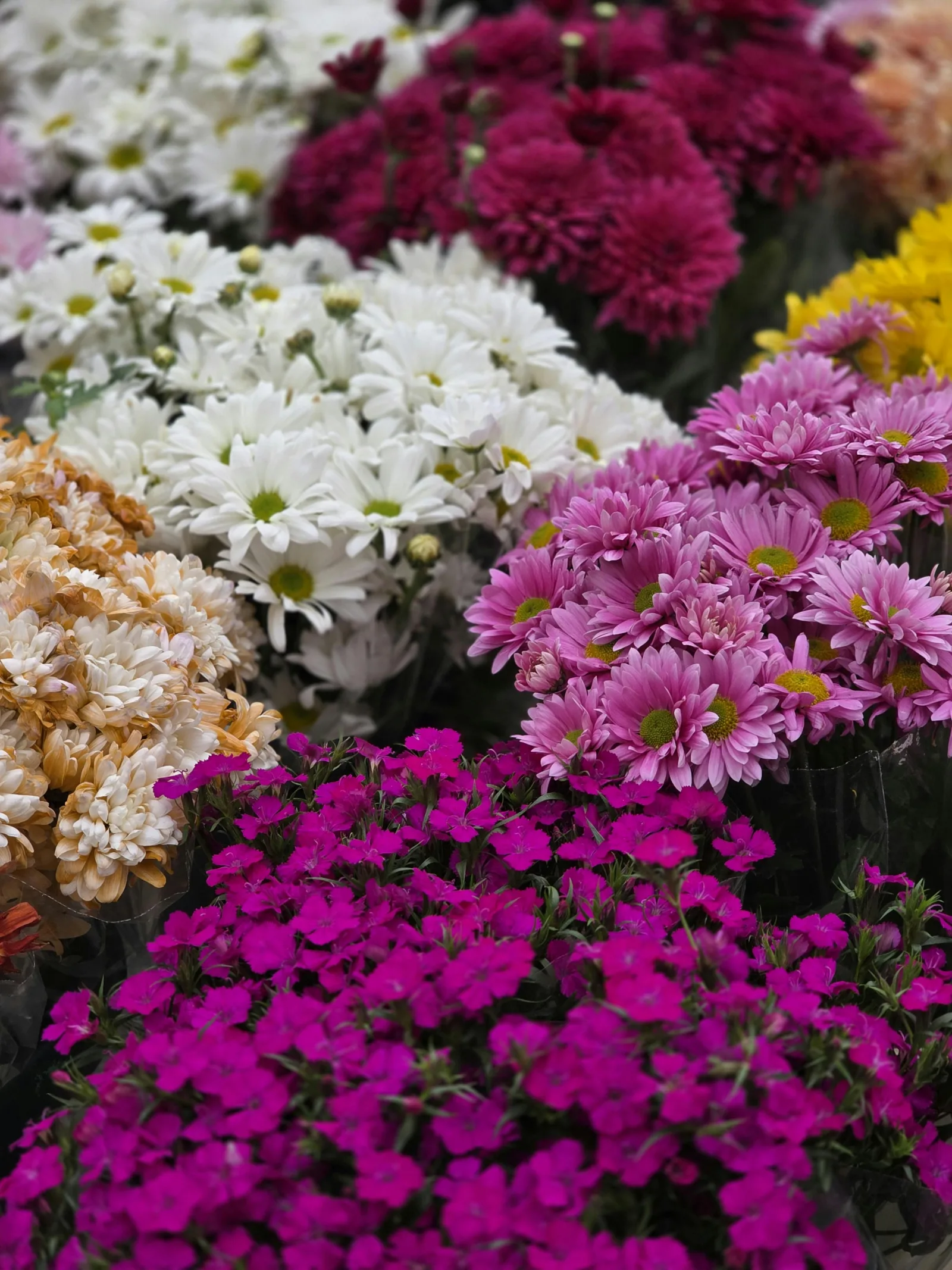 Baby Names That Mean Light