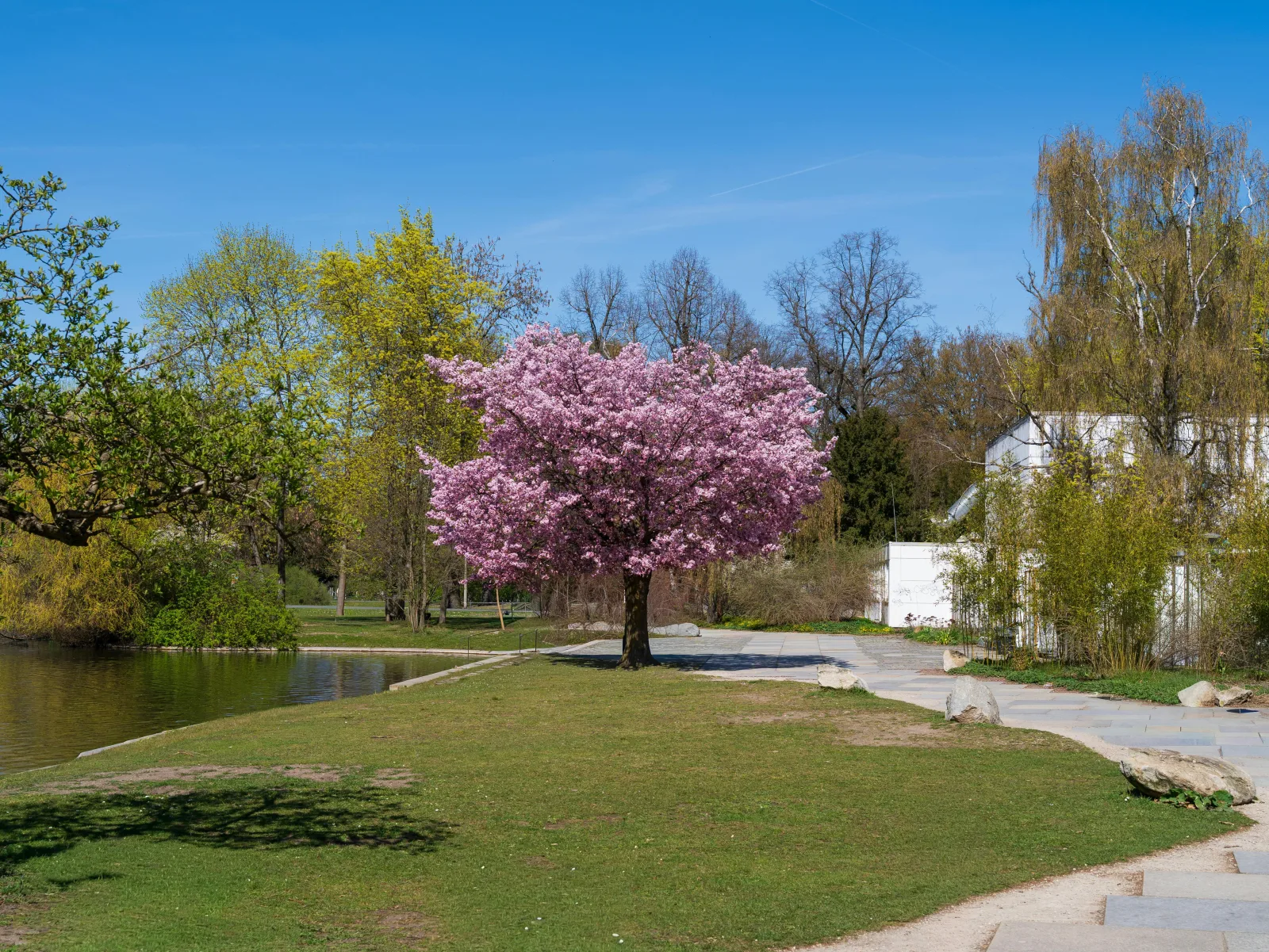 Baby Names Meaning New Beginning