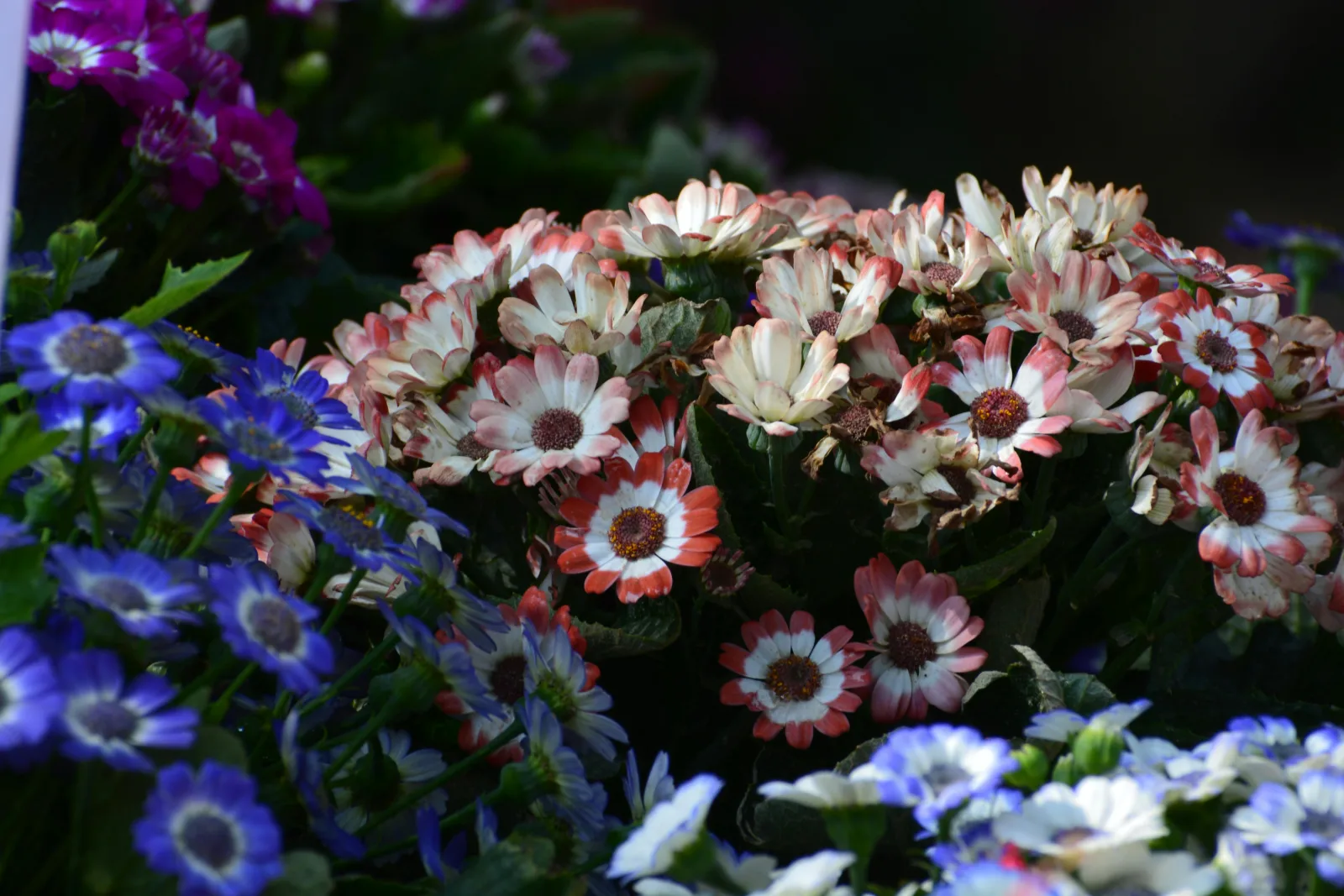 Baby Names That Mean Love: Romantic and Warm Choices