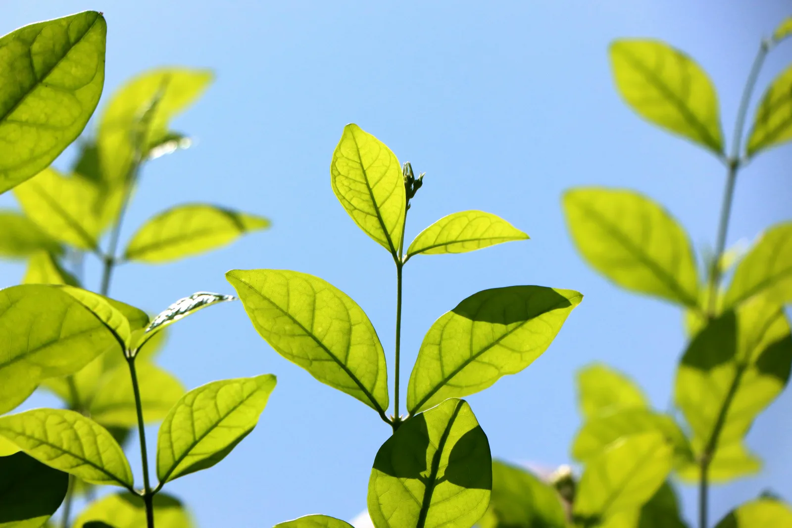 Baby Names Only Popular in One Country