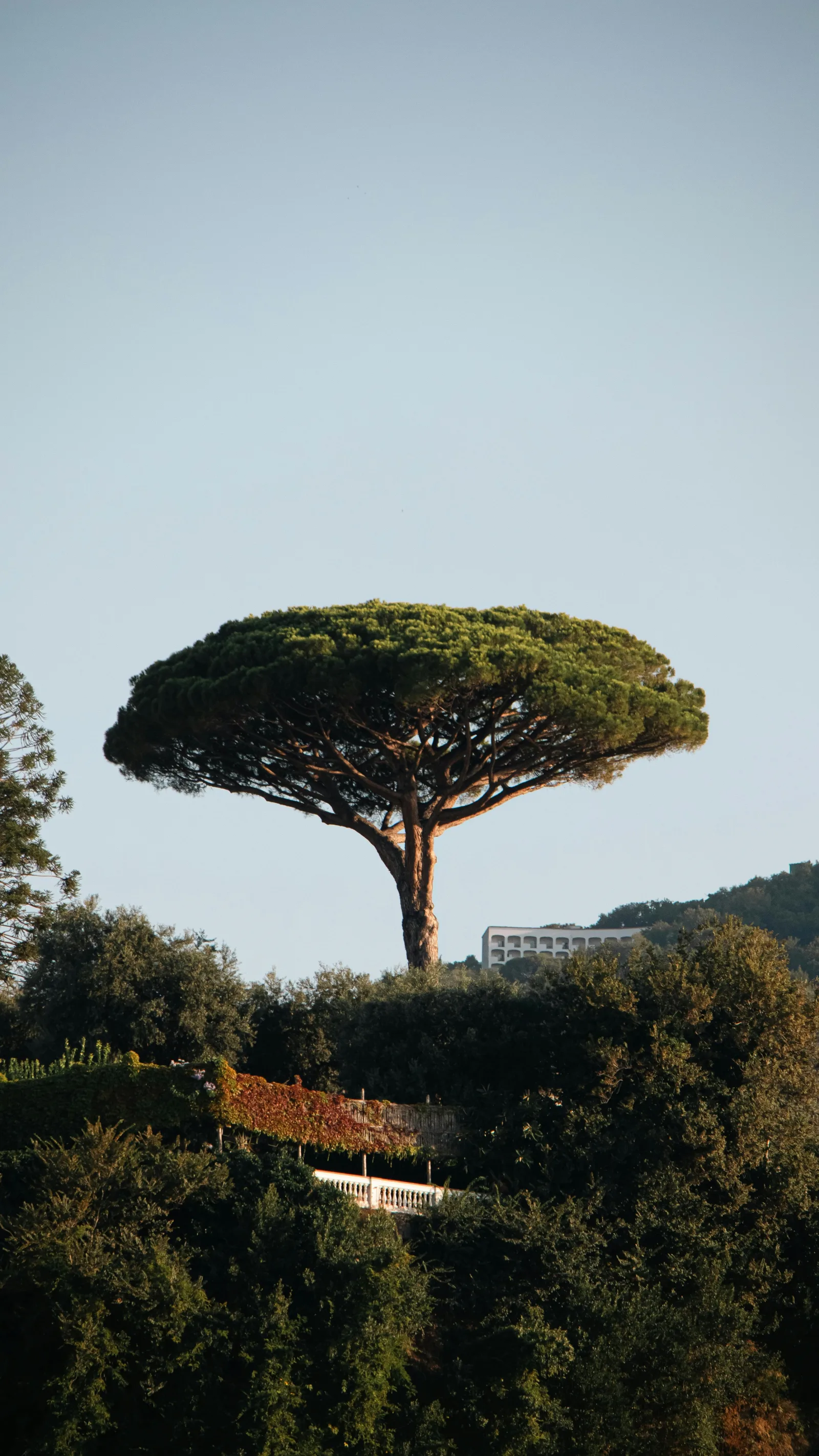 Why Naming Your Second Child Is Harder