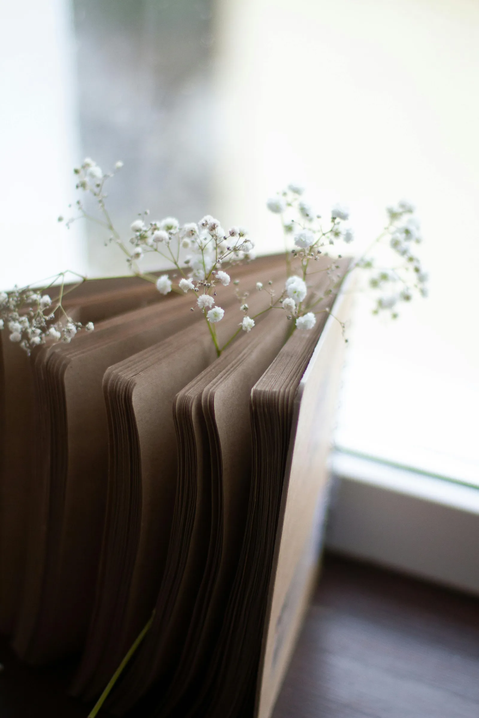 How Your Own Name Shaped You