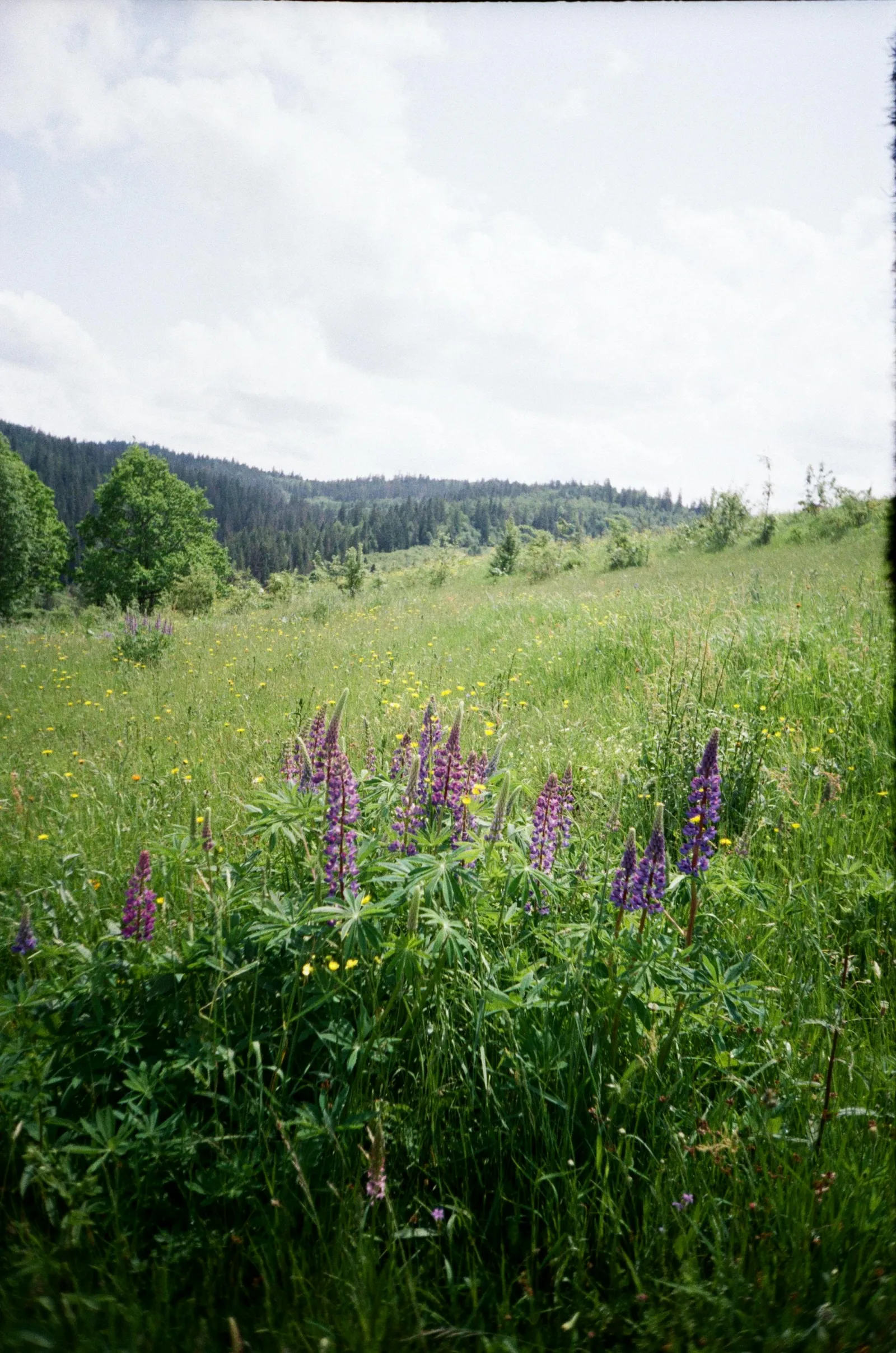 Baby Names That Mean Strength