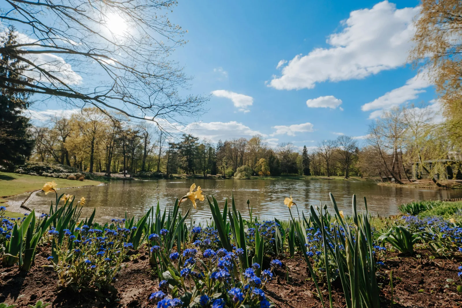 Baby Names That Mean Peace: Calm, Serene and Tranquil Names